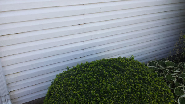 Side of house after using iron out rust stain remover