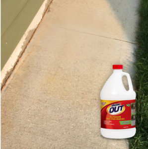 Iron OUT Outdoor Rust Stain Remover